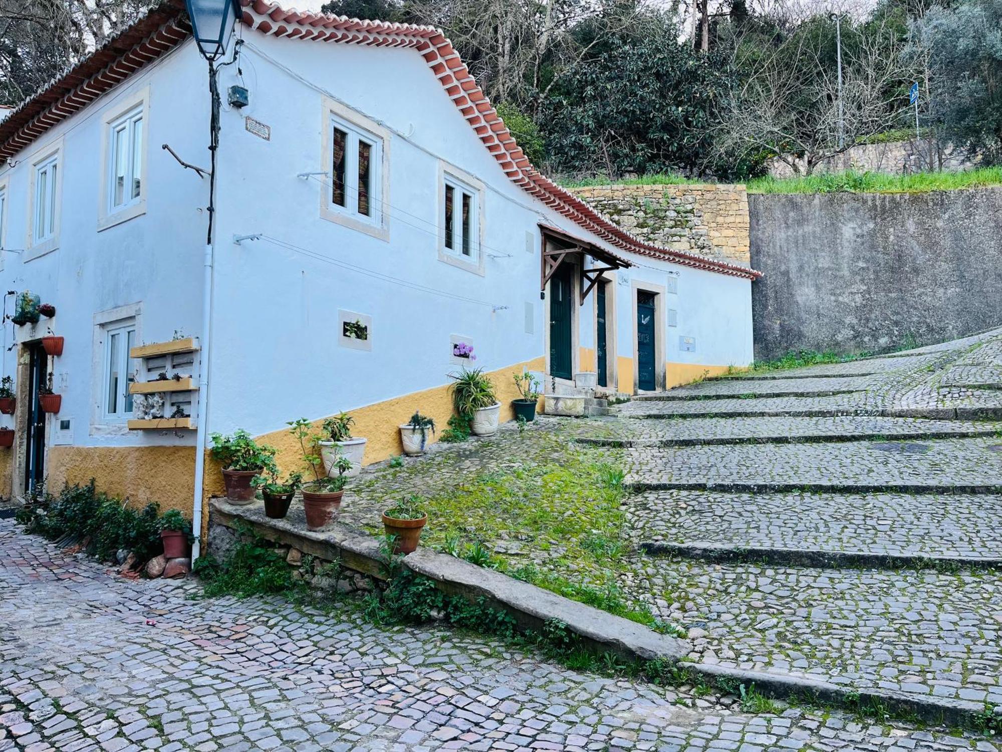Pe Do Castelo Casinha - Pet Friendly & Garage Vila Tomar Exterior foto